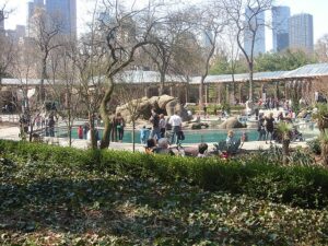 central park zoo