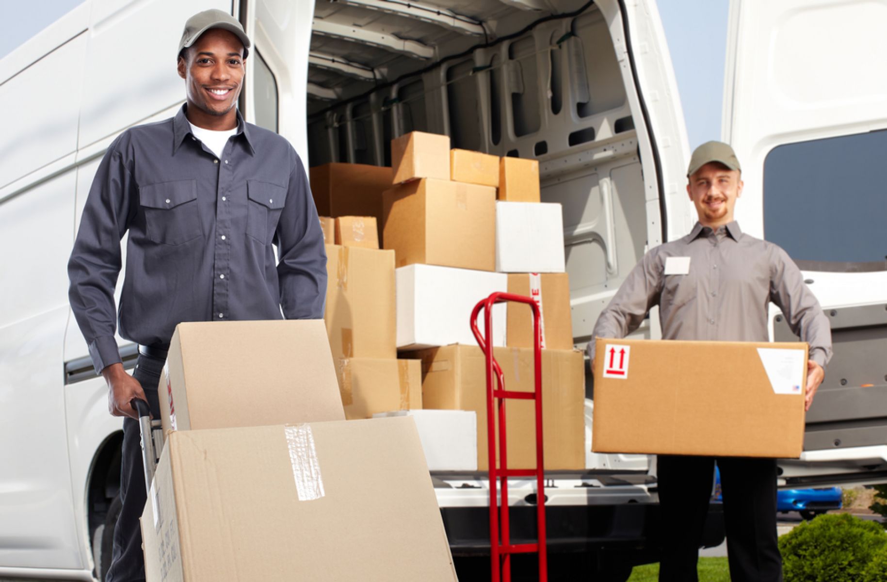 Packers and Movers Services