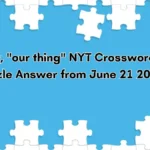 literally our thing nyt crossword